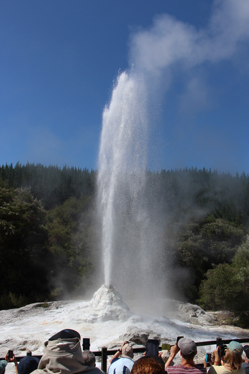 Die Fontäne des Lady Knox Geysir beim Ausbruch.