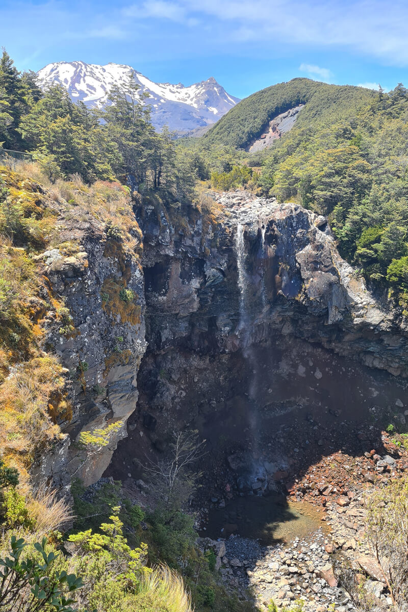 Mangawhero Falls mit Mount Ruapehu im Hintergrund.