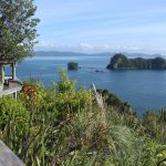 Neuseeland- Highlights auf der Nordinsel Wanderweg an der Küste von Neuseelands Nordinsel