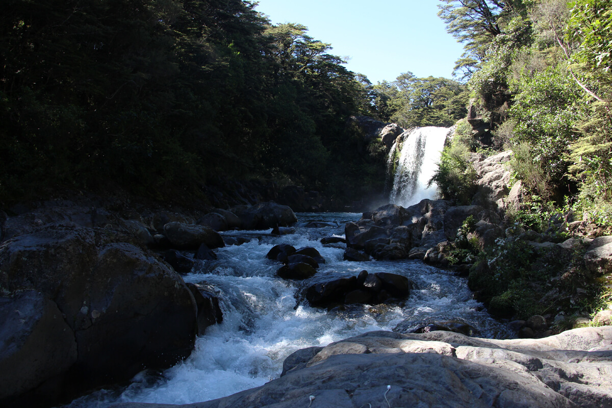 Zu den Tawhai Falls führt ein kurzer, einfacher Wanderweg.