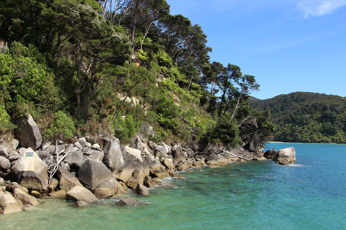 Felsige Küste mit Wäldern im Abel Tasman Nationalpark