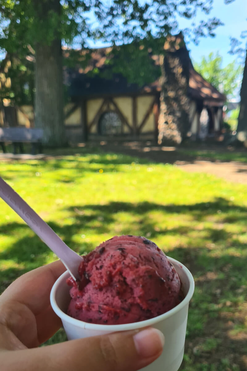 Blaubeersorbet in Matamata