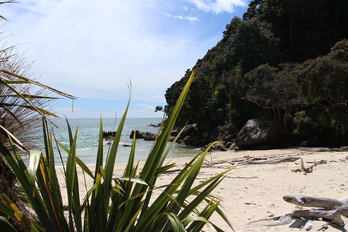 Die kleine Bucht Medlands Beach ist der Startpunkt unserer Wanderung auf dem Coast Track.