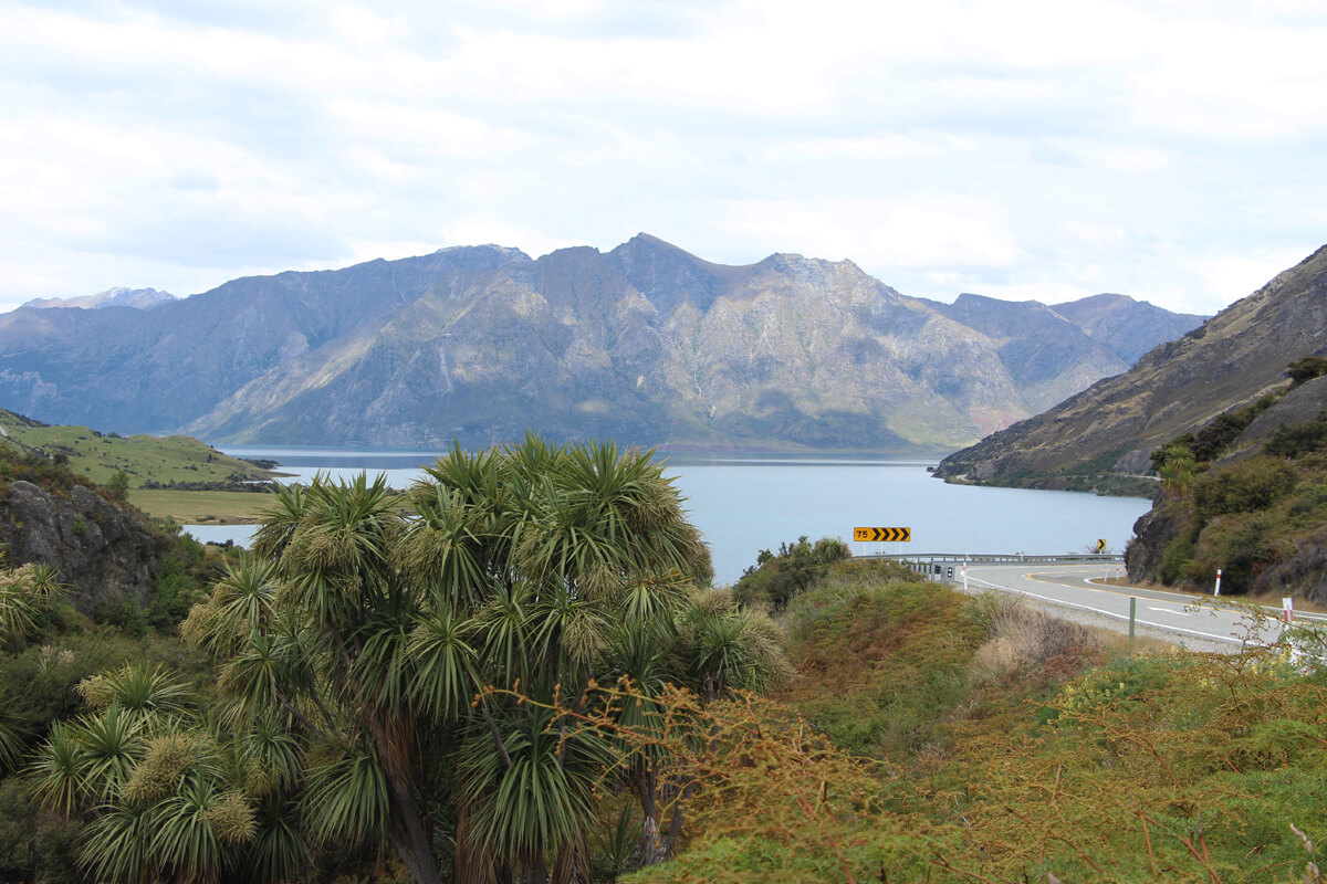 Typische Landschaft auf Neuseelands Südinsel mit See und Bergen