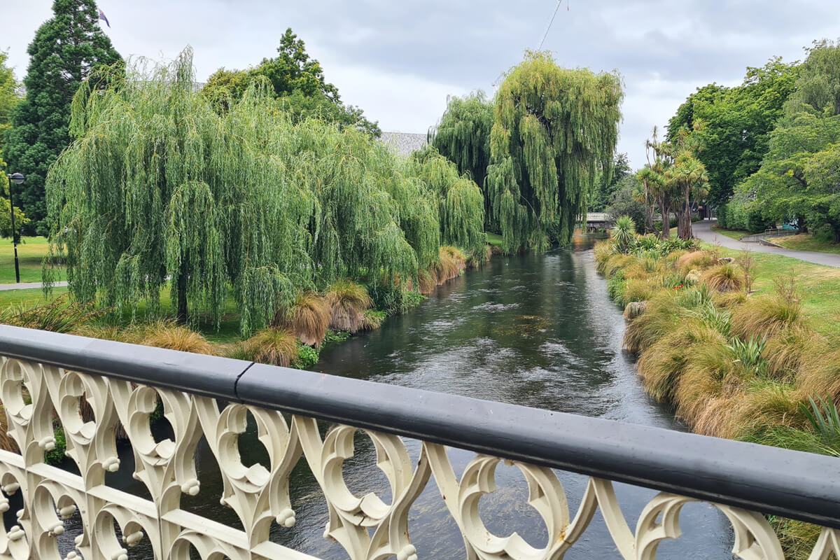 Bäume an einem Fluss in Christchurch