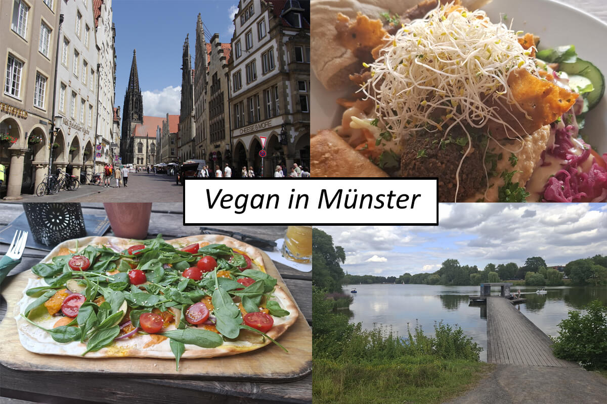 Vegan in Münster, Titelbild mit Schriftzug und Collage