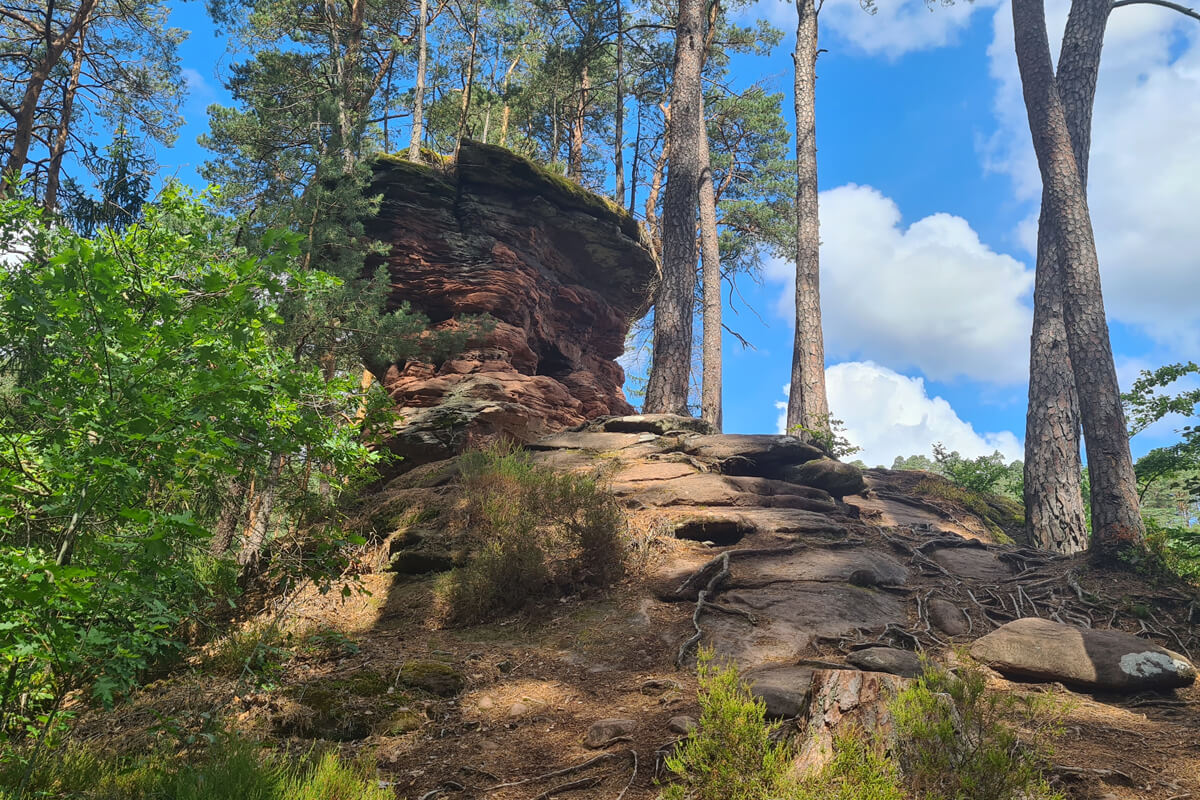 Markante Felsen und schattige Mischwälder, das ist der Dahner Felsenpfad