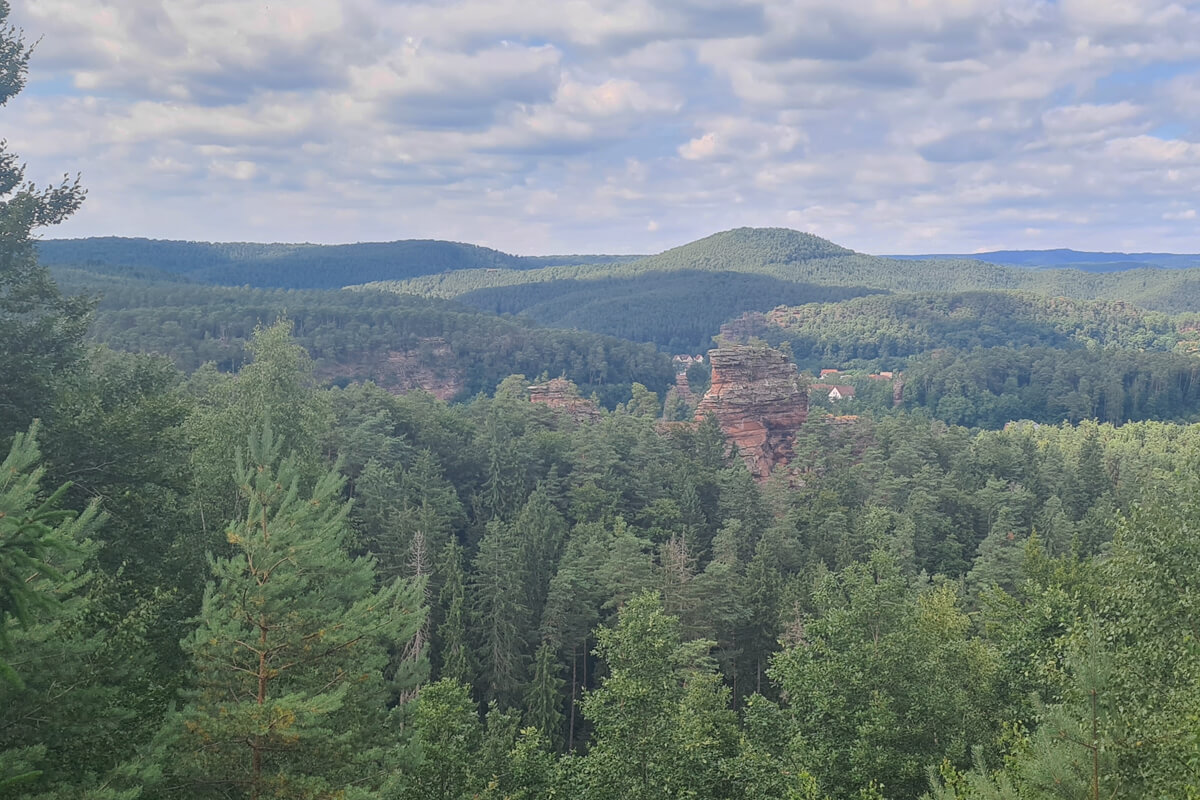 Die roten Sandsteinfelsen ragen aus dem Mischwald