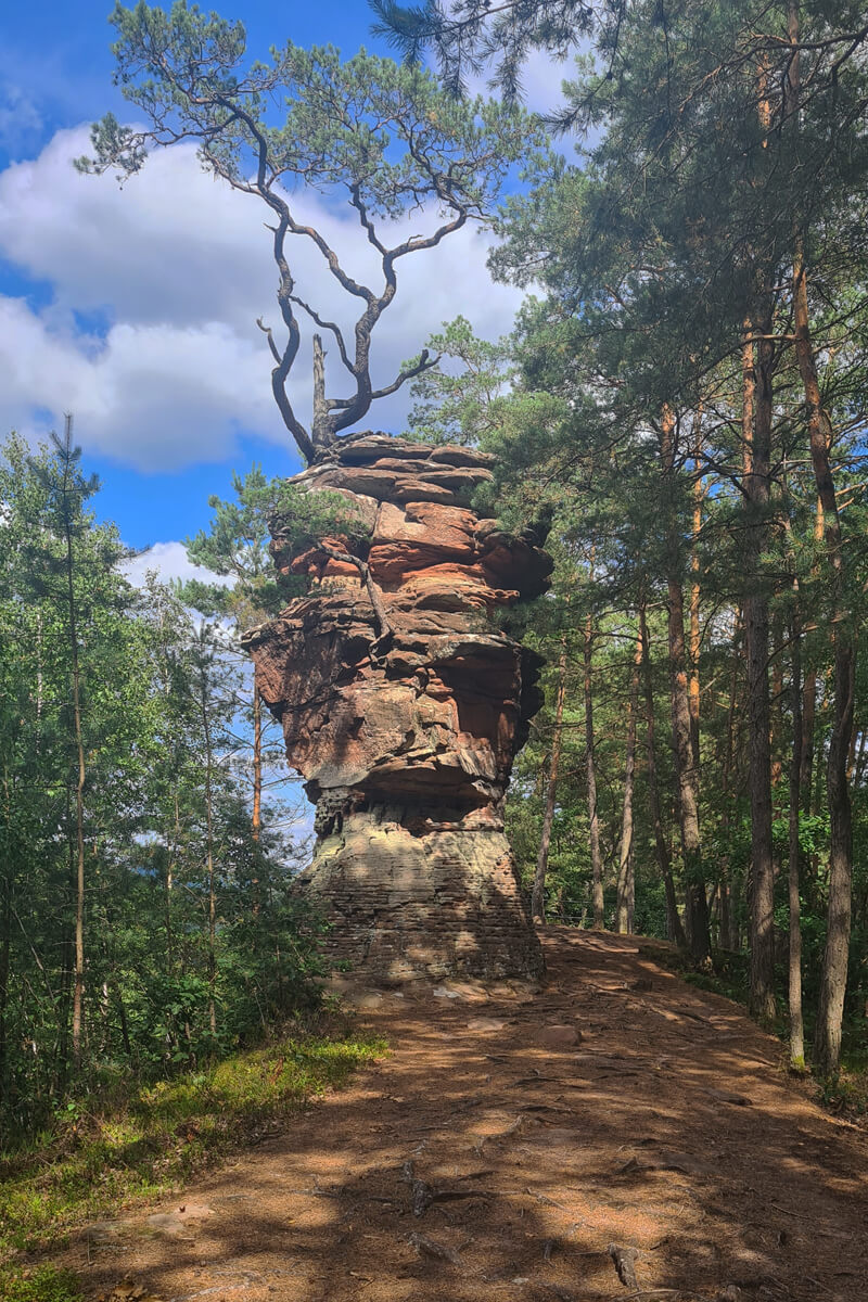 Typische Felsen mit Baumbewuchs