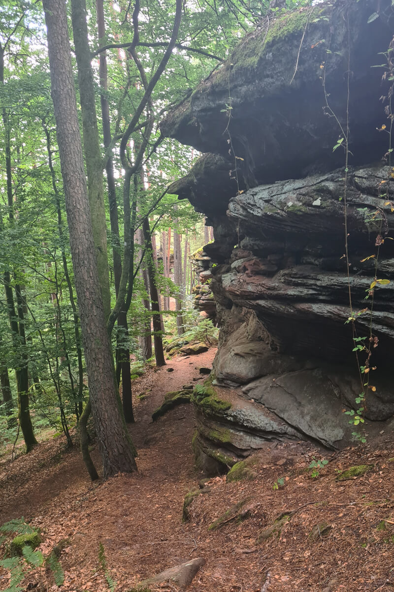 Der Pfad führt direkt an den Felsen vorbei.