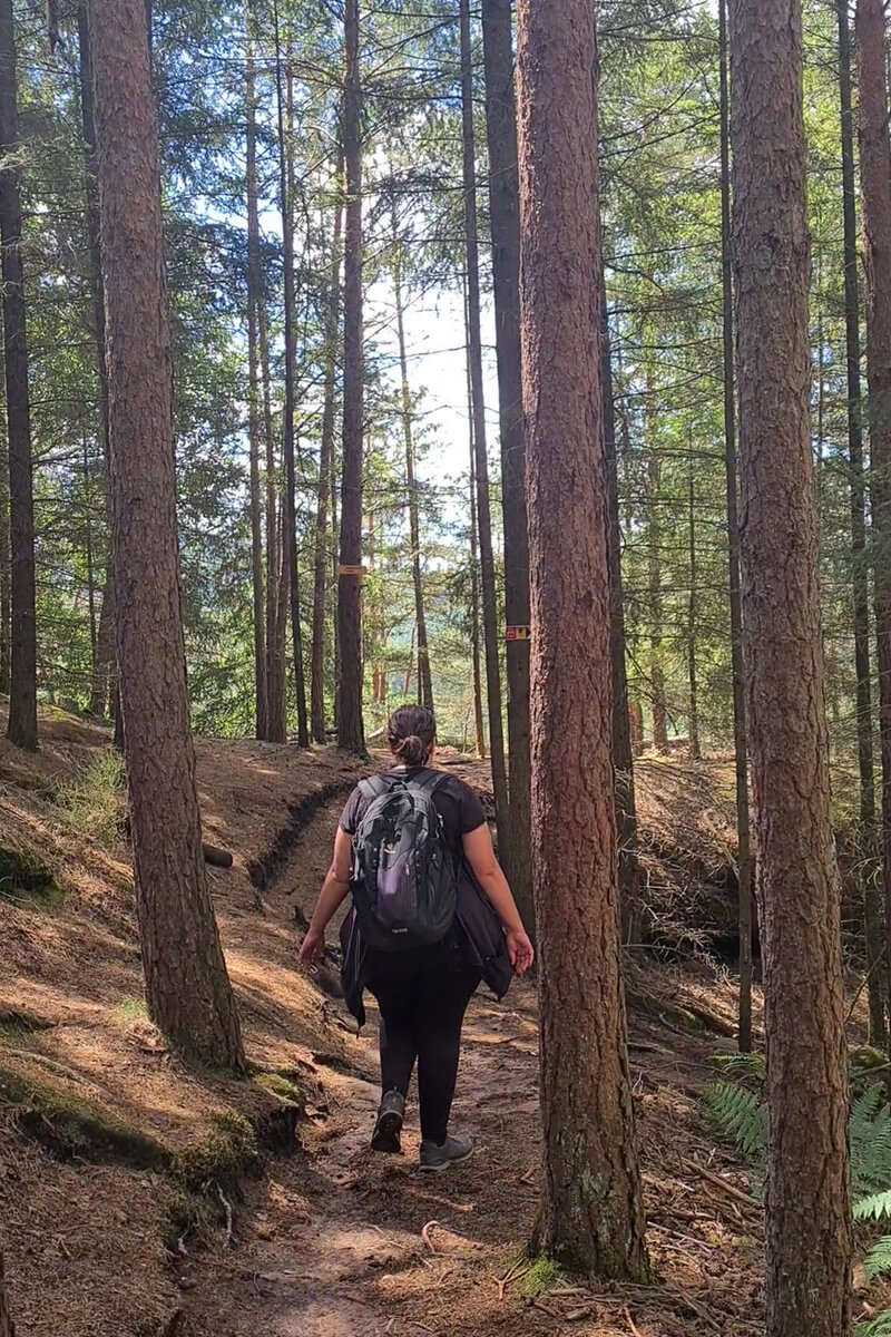 Ich beim wandern zwischen hohen Nadelbäumen.